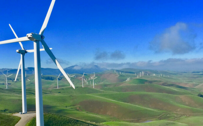 Peninsula Clean Energy – Diversity, Equity, Accessibility, and Inclusion Consulting Services
